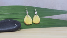 Load image into Gallery viewer, Butterfly Wing Earrings