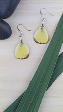 Load image into Gallery viewer, Butterfly Wing Earrings