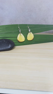 Butterfly Wing Earrings