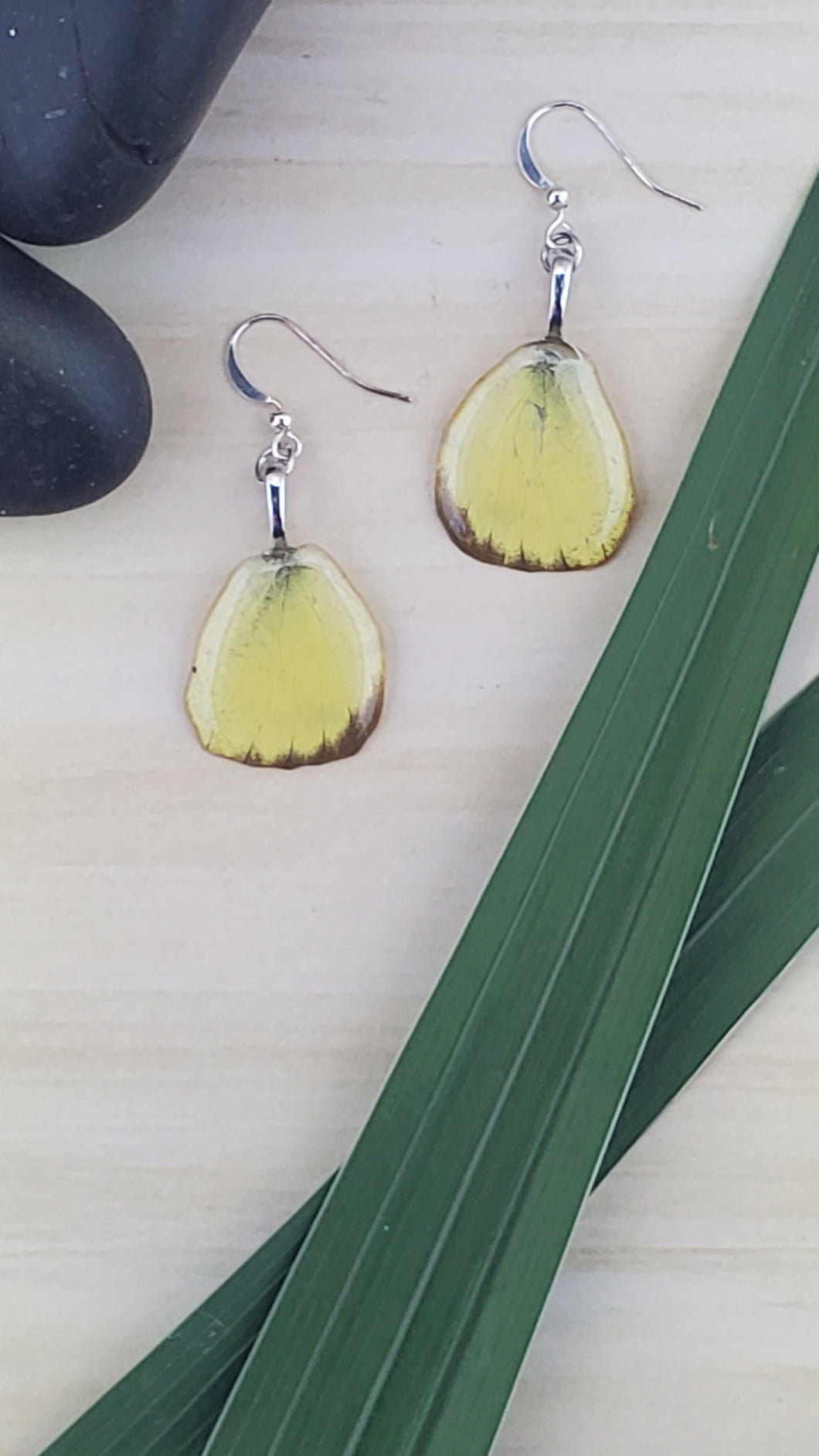 Butterfly Wing Earrings